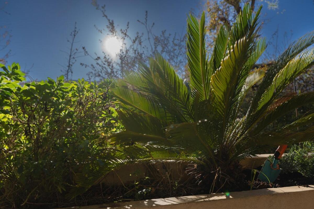 Le Botanique Nizza