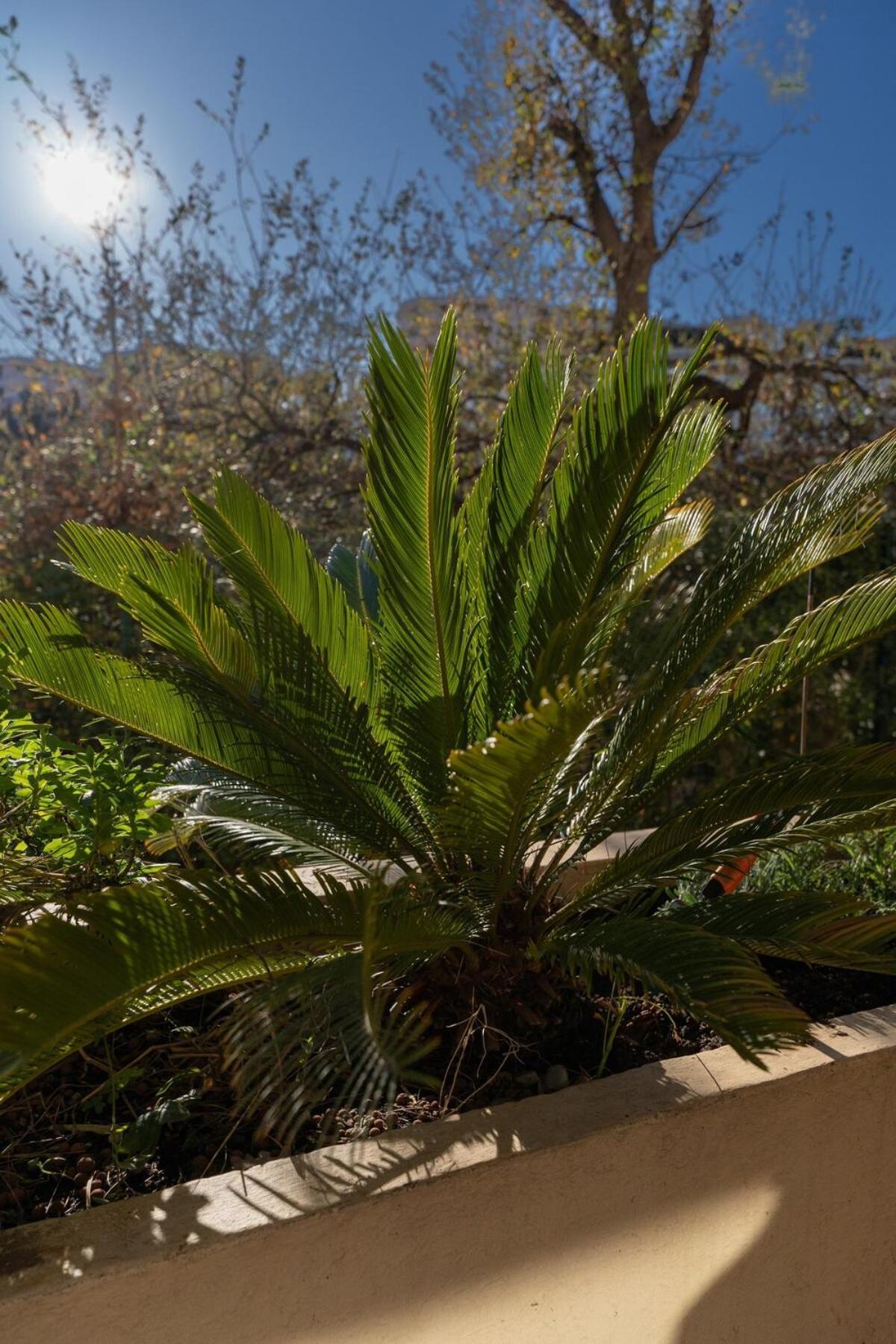 Le Botanique